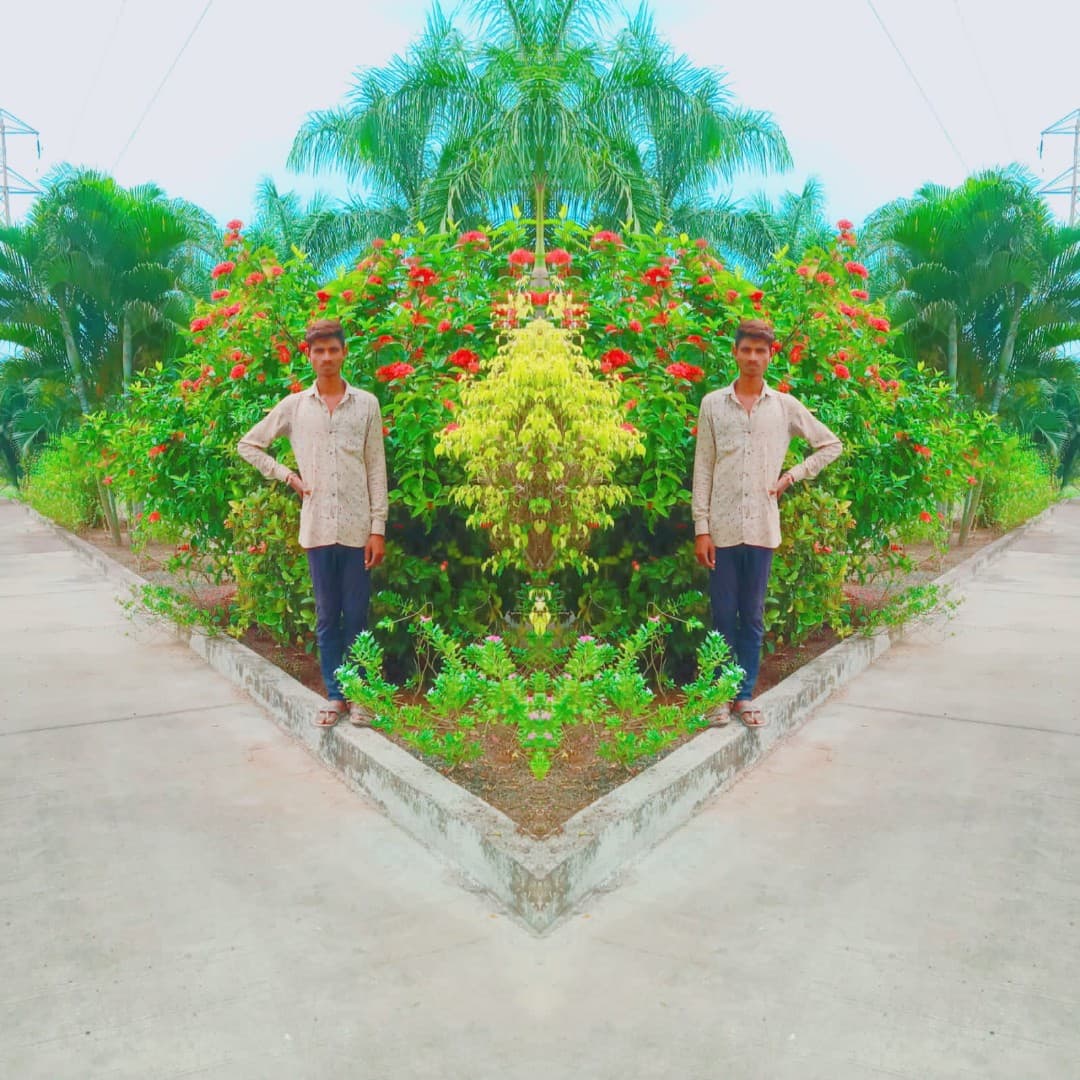 description