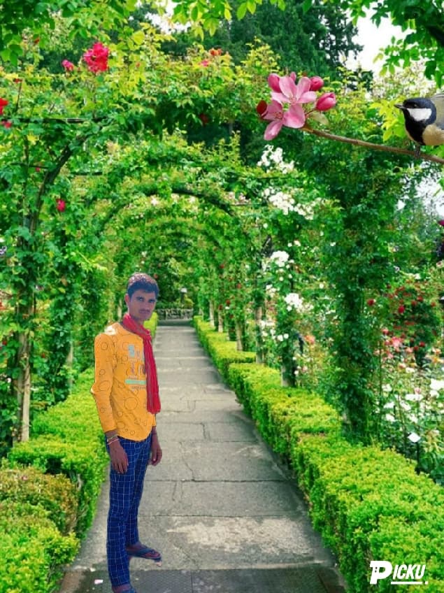 description
