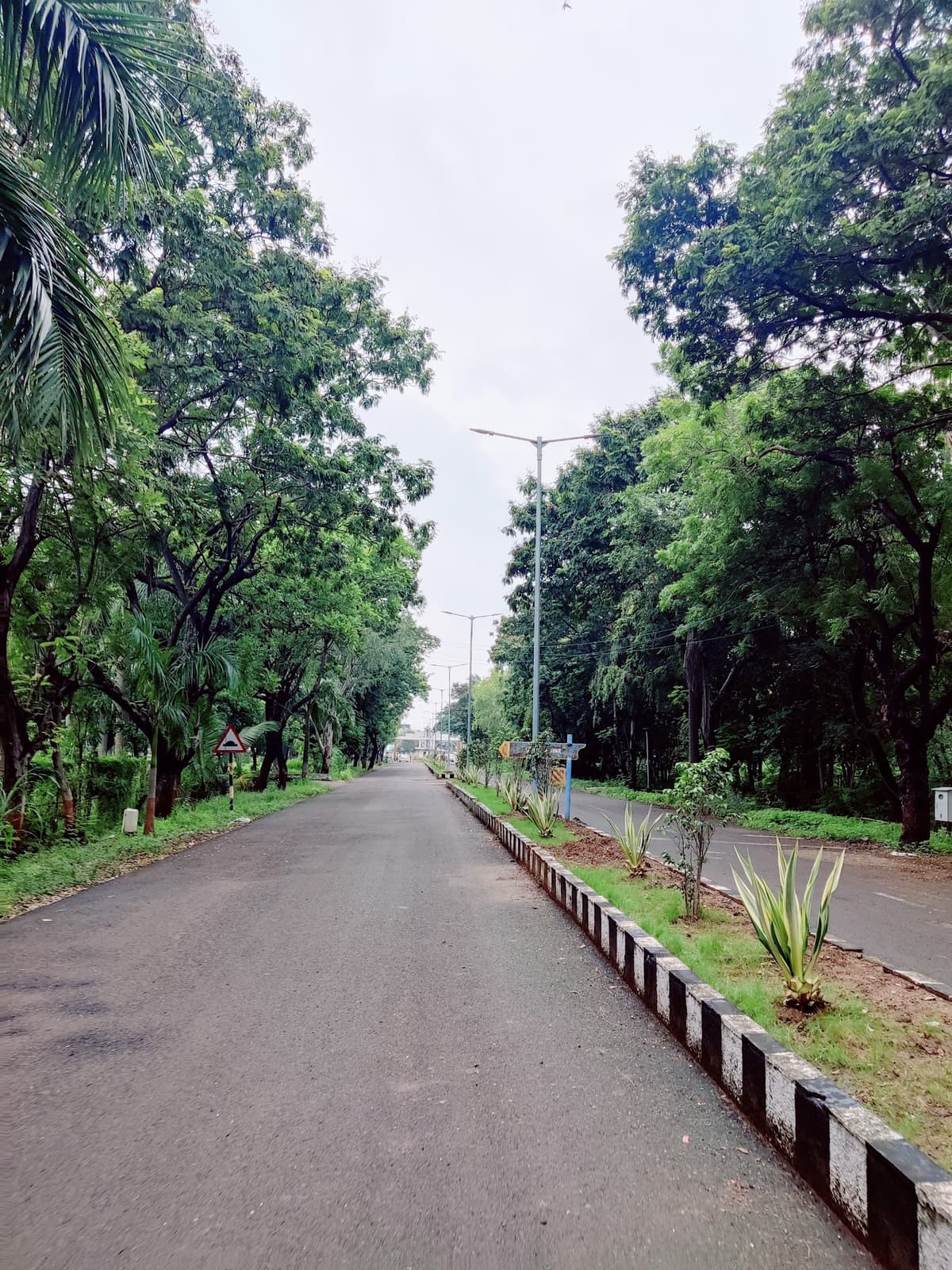 description