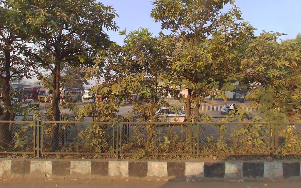description
