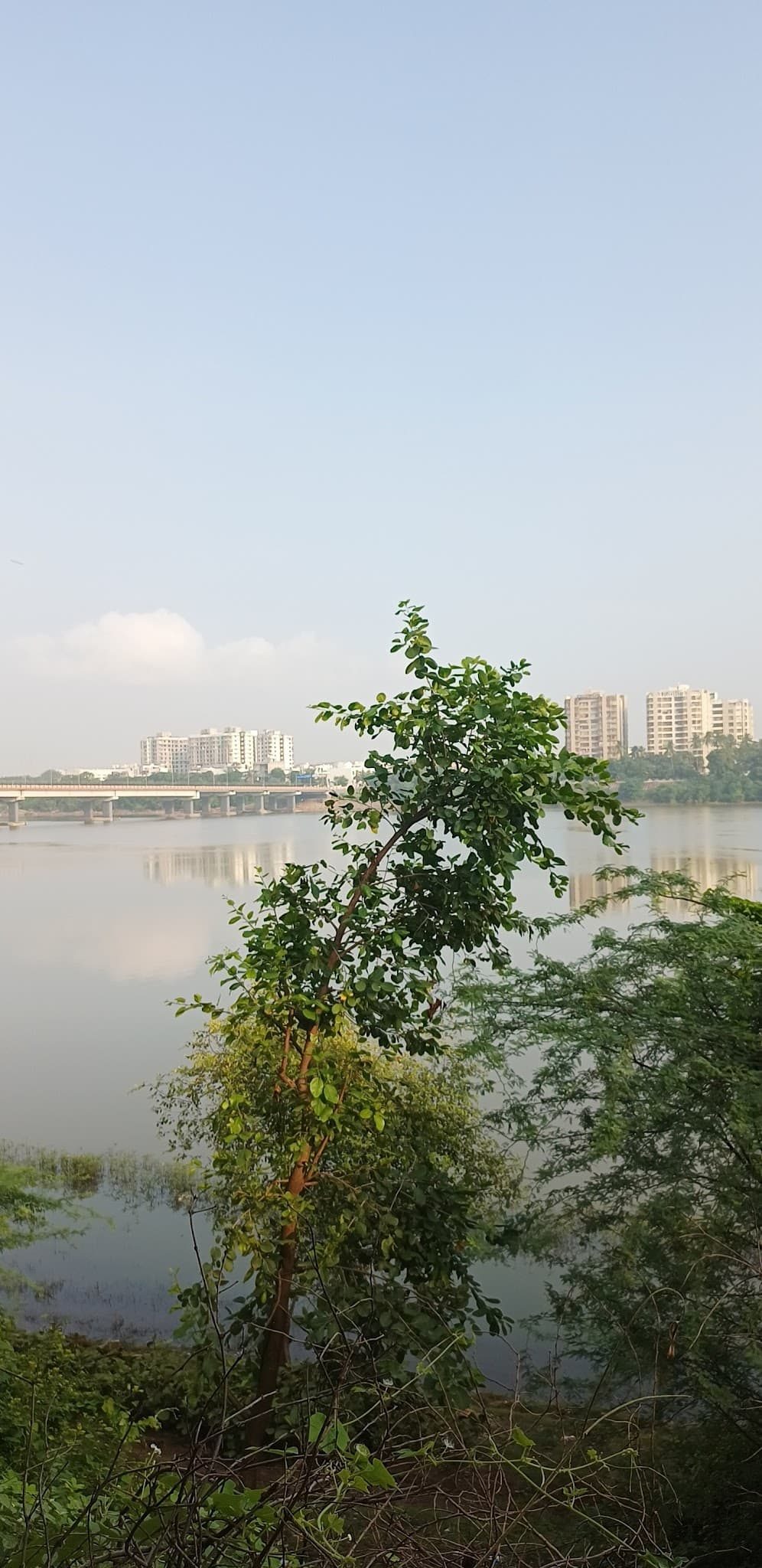 description