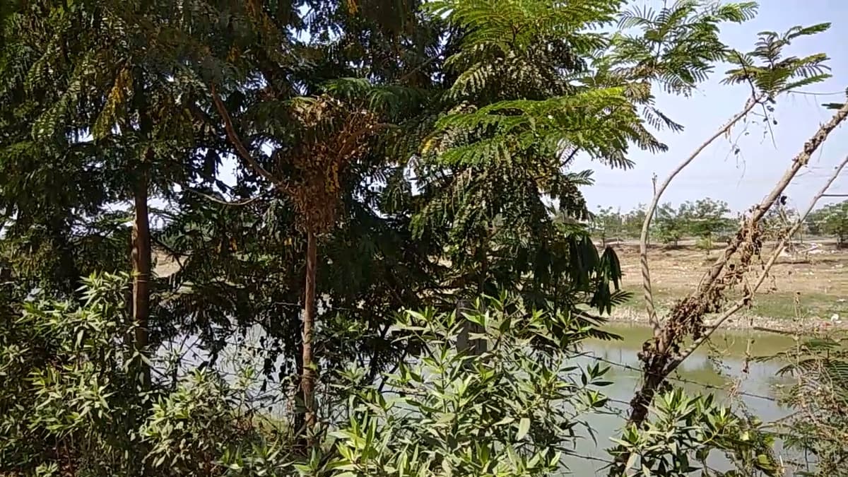 description