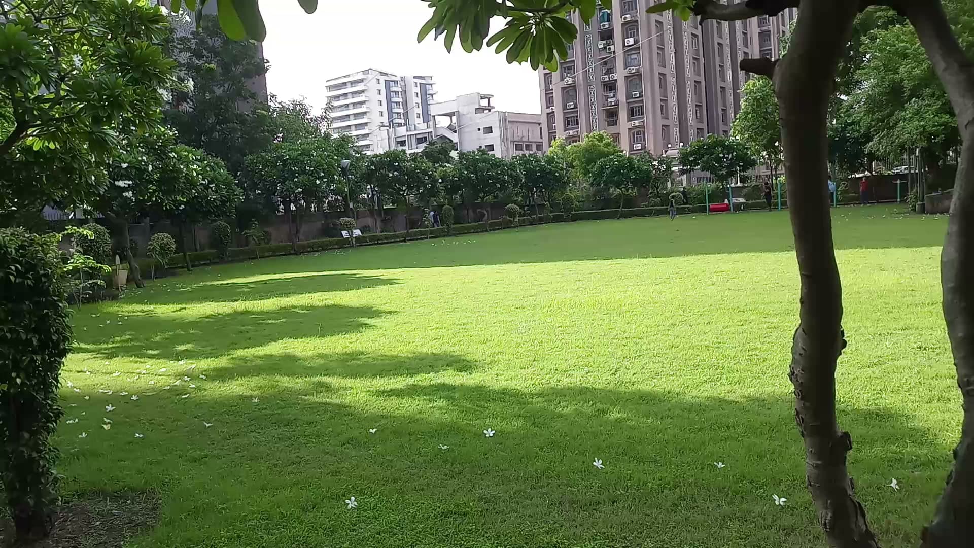SMC Garden