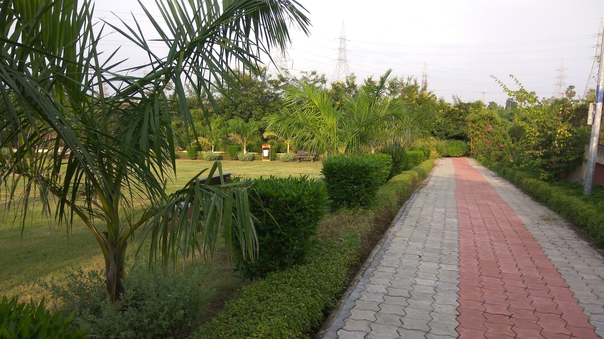 SMC Garden