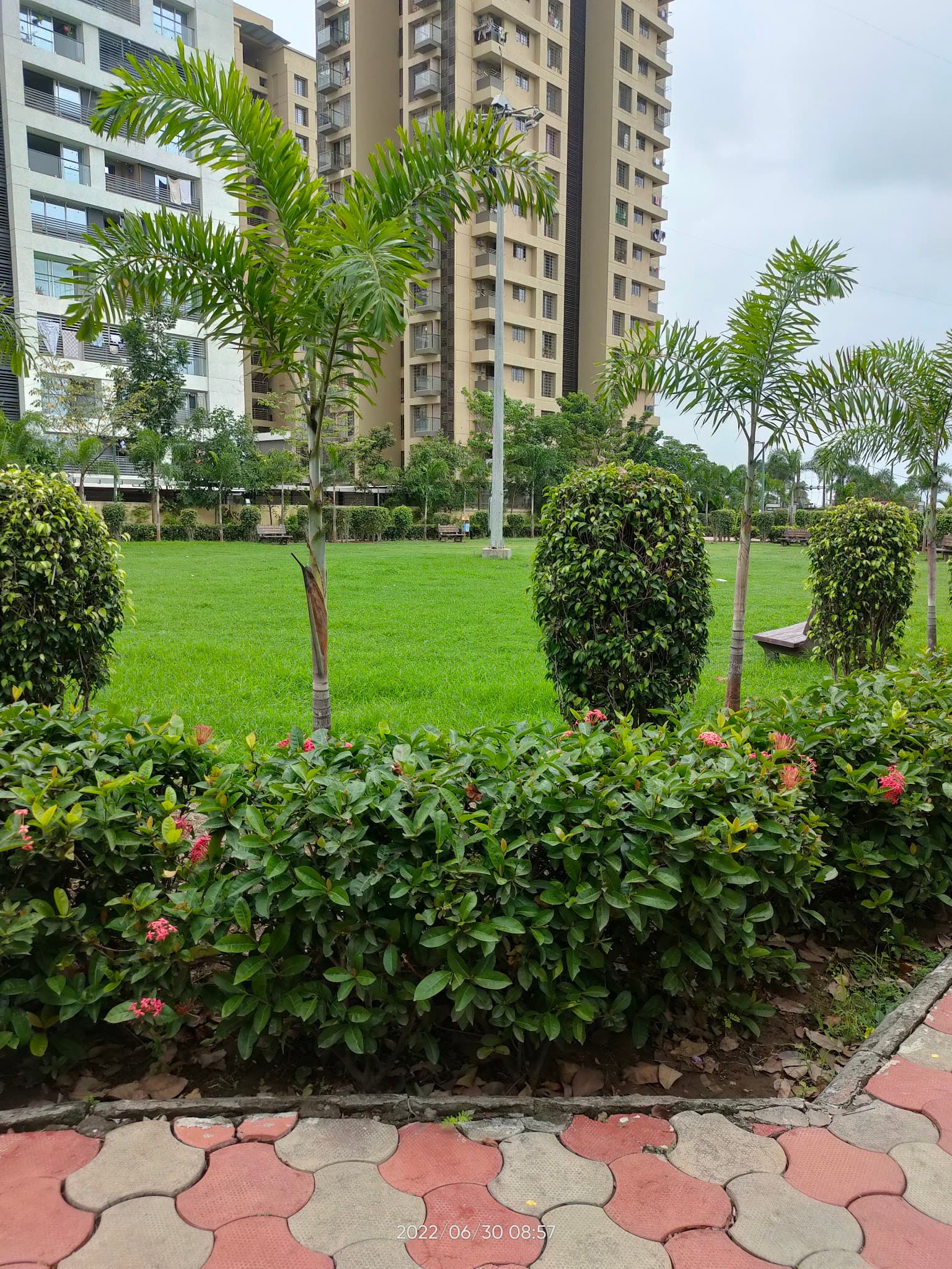 SMC Garden