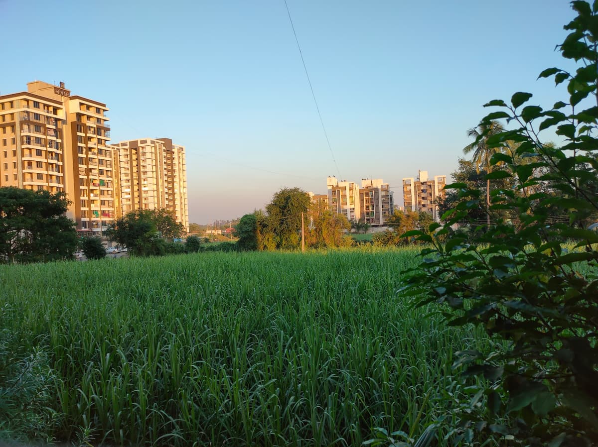 description