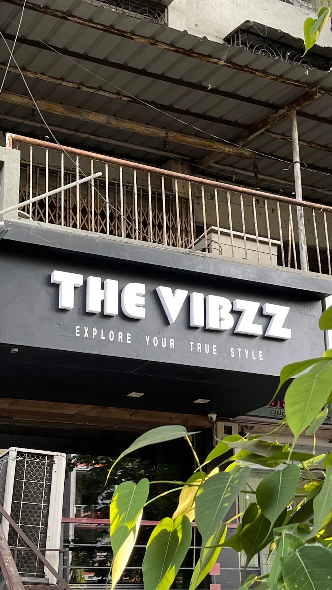 The Vibzz