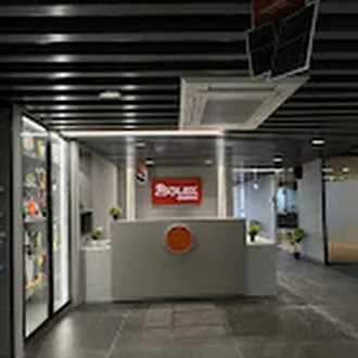 Solex Energy Limited