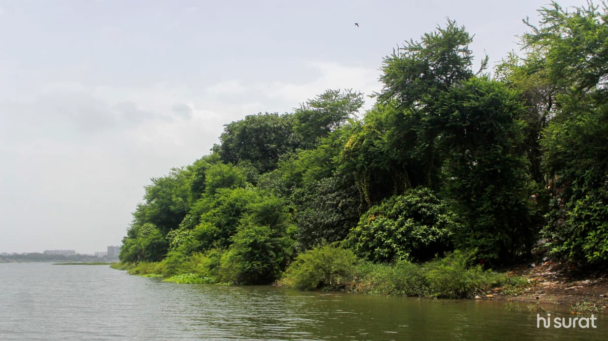 description