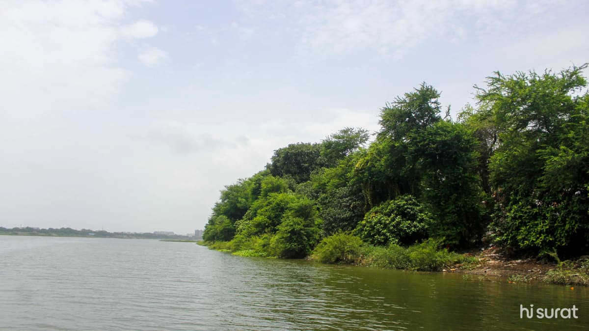 description