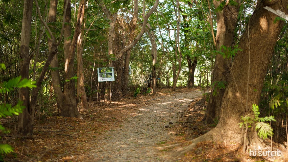 description