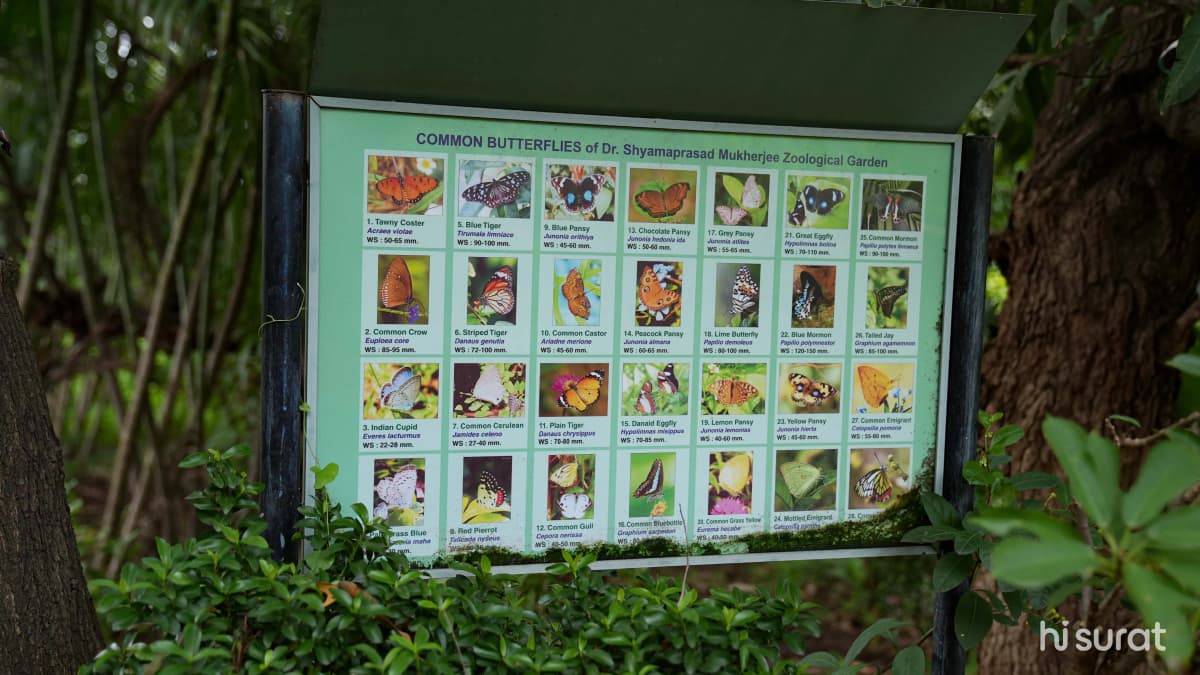 description