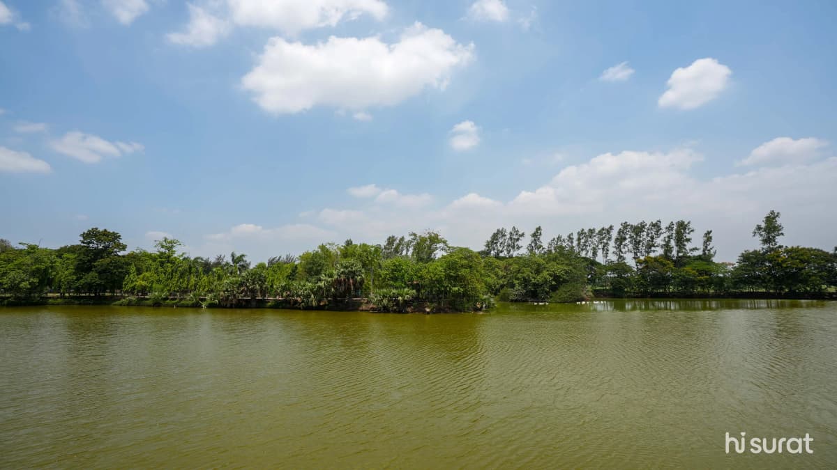 description