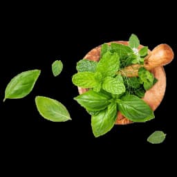 Ayurvedic clinic