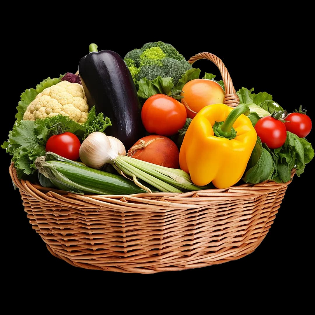 Organic Food Store