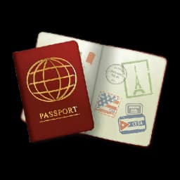 Visa consultant