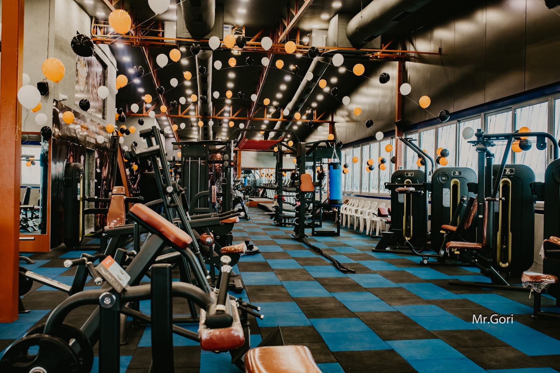 9 Salvo Gym
