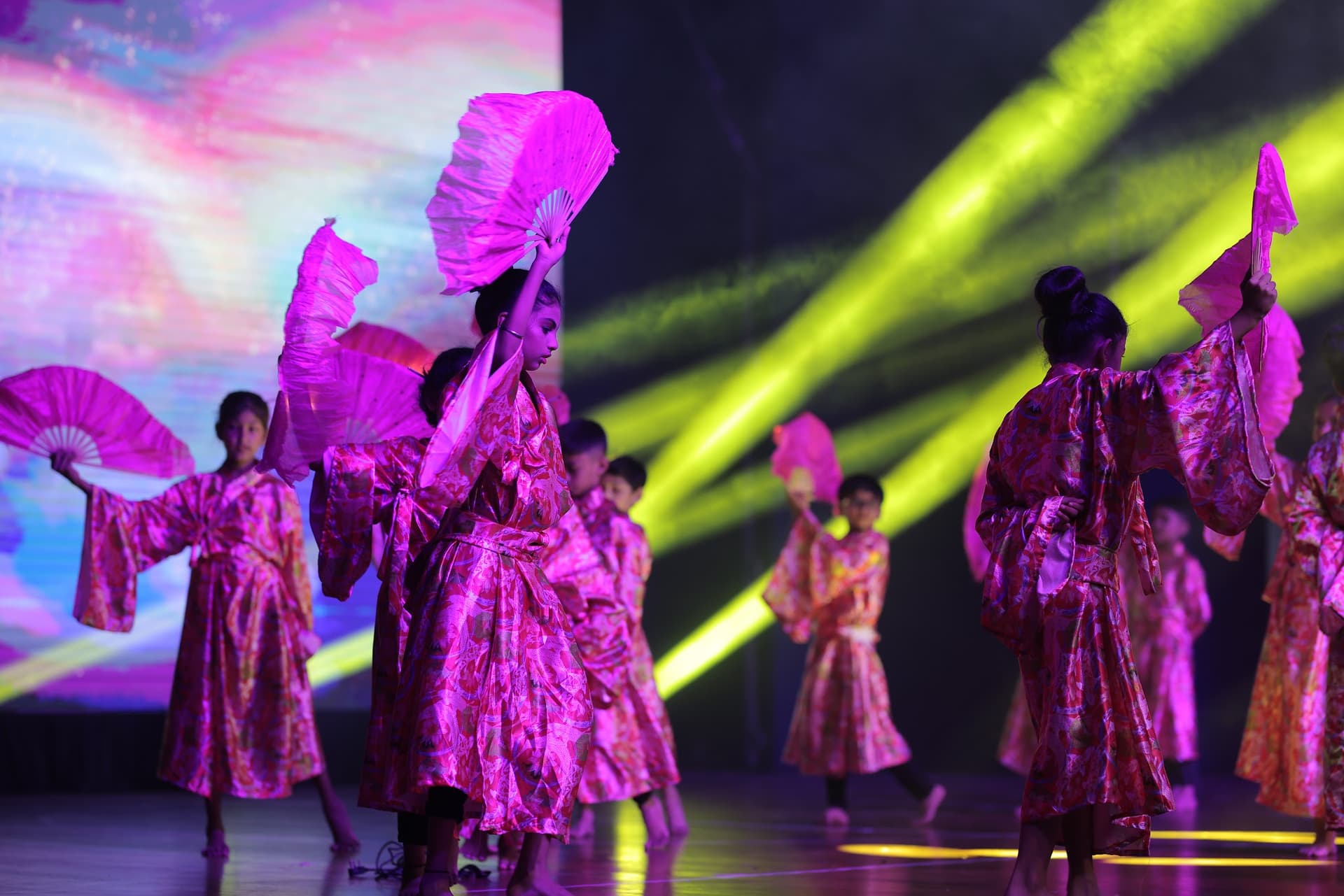 Ani Dresswala Fancy Dress