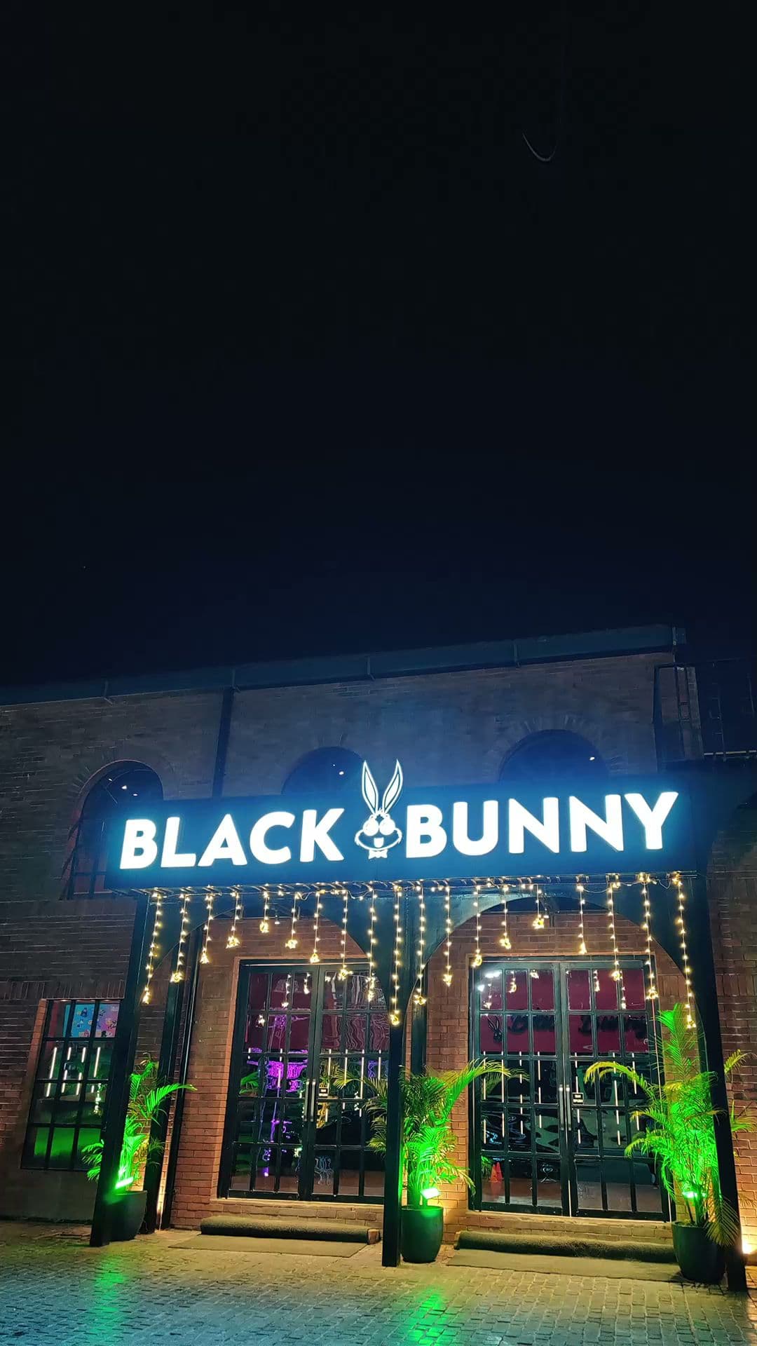 Black Bunny