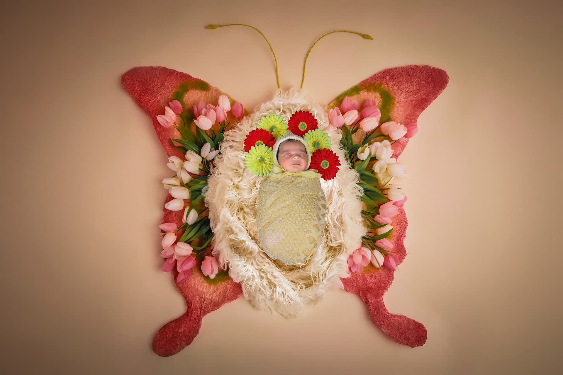 blackmagic photo studio