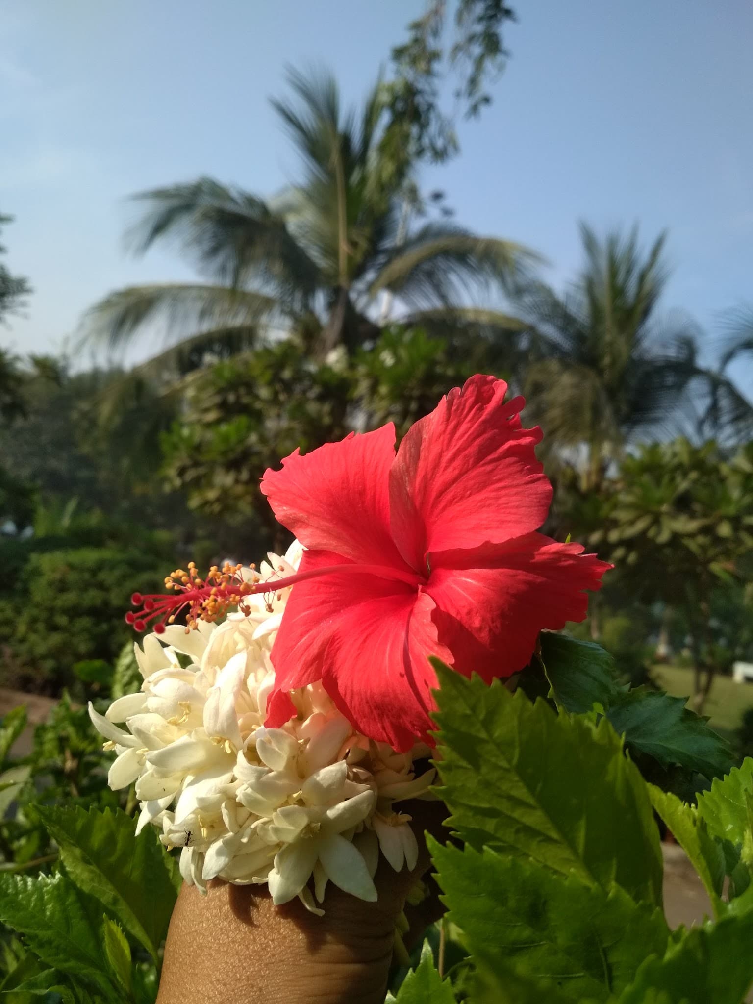 Chopati Children Playing Area