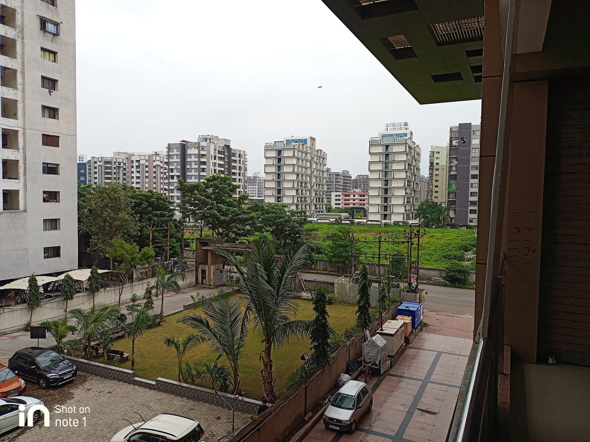 Collection O Collection O Apple Palace