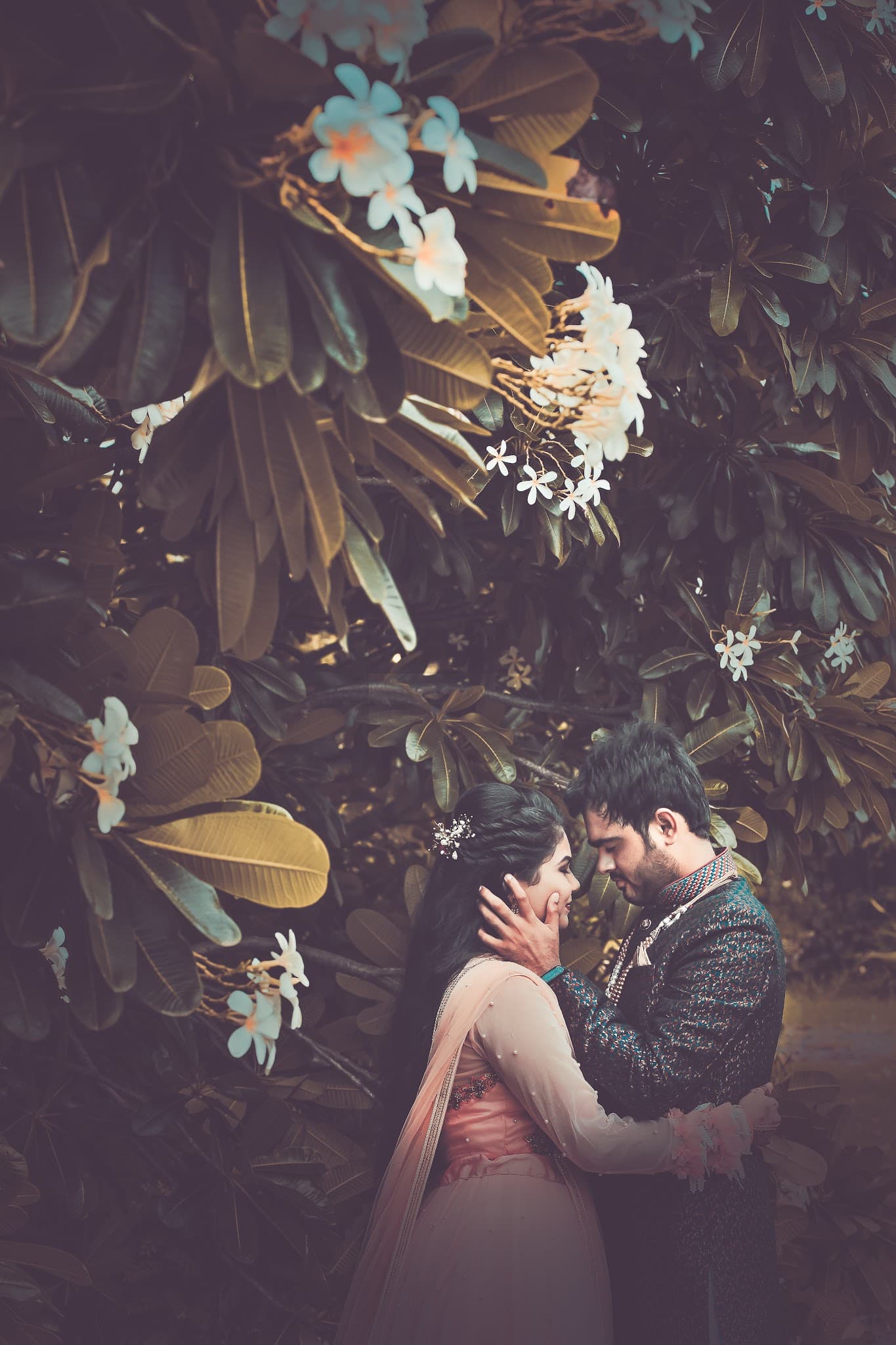 Drone Mapping Services | Pre-wedding photoshoot | Krishna Video Mixing Lab