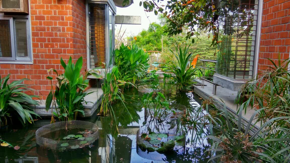 Eco Farm (Nature Club Surat)