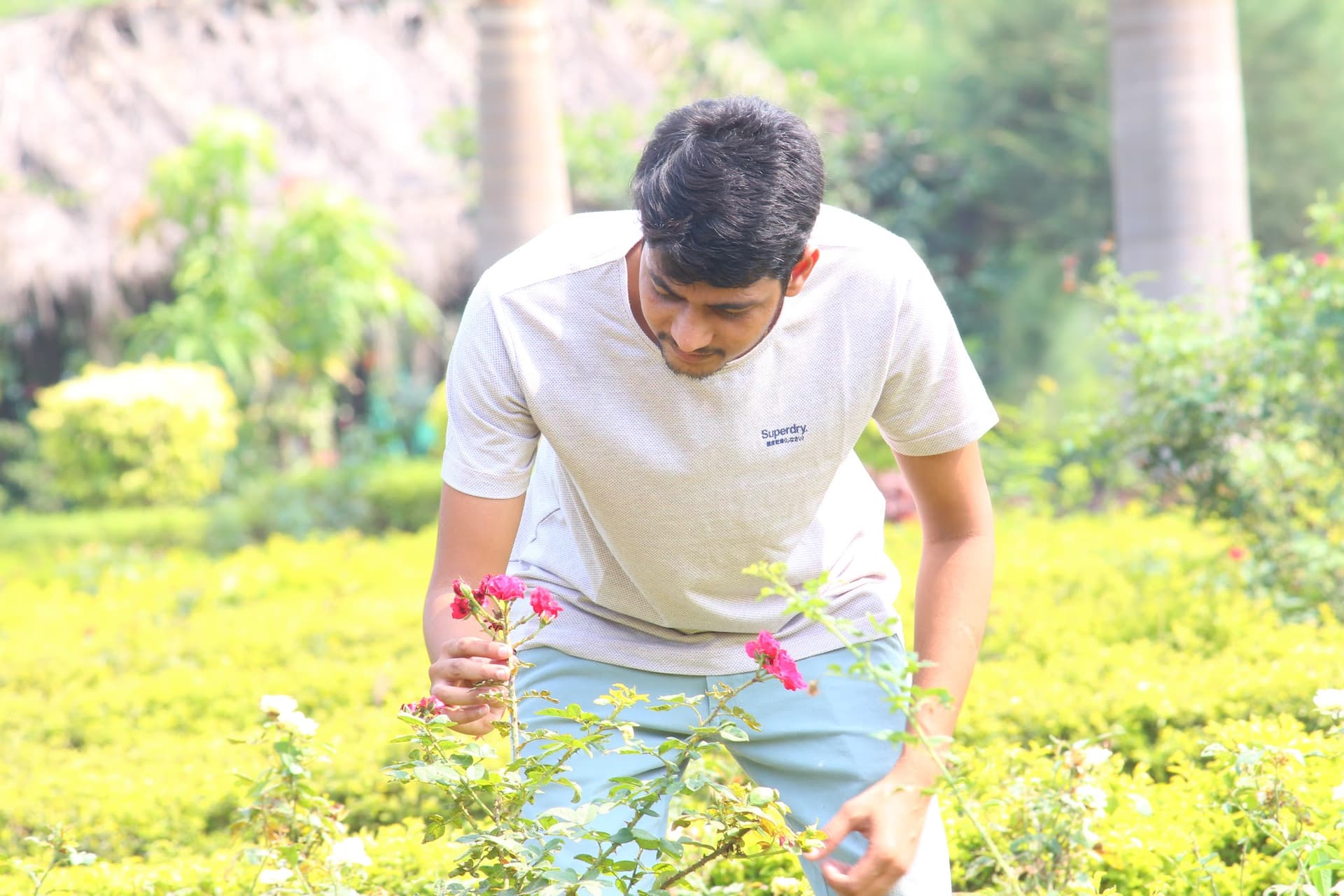 elicit design - Architect & Interior design in surat