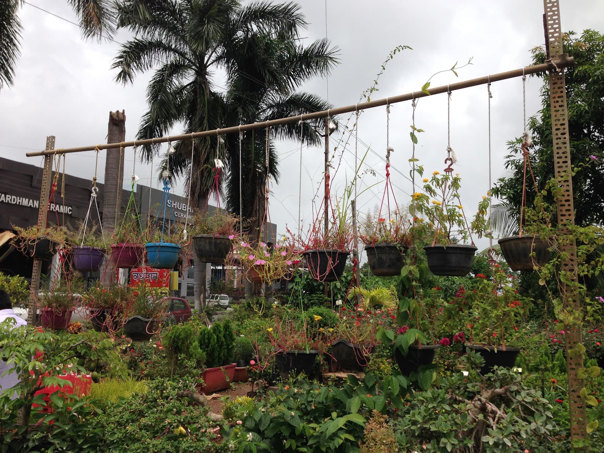 Garden centre nursery