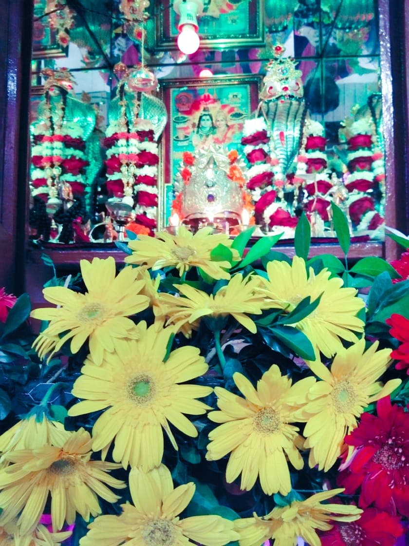Goga Maharaj Mandir