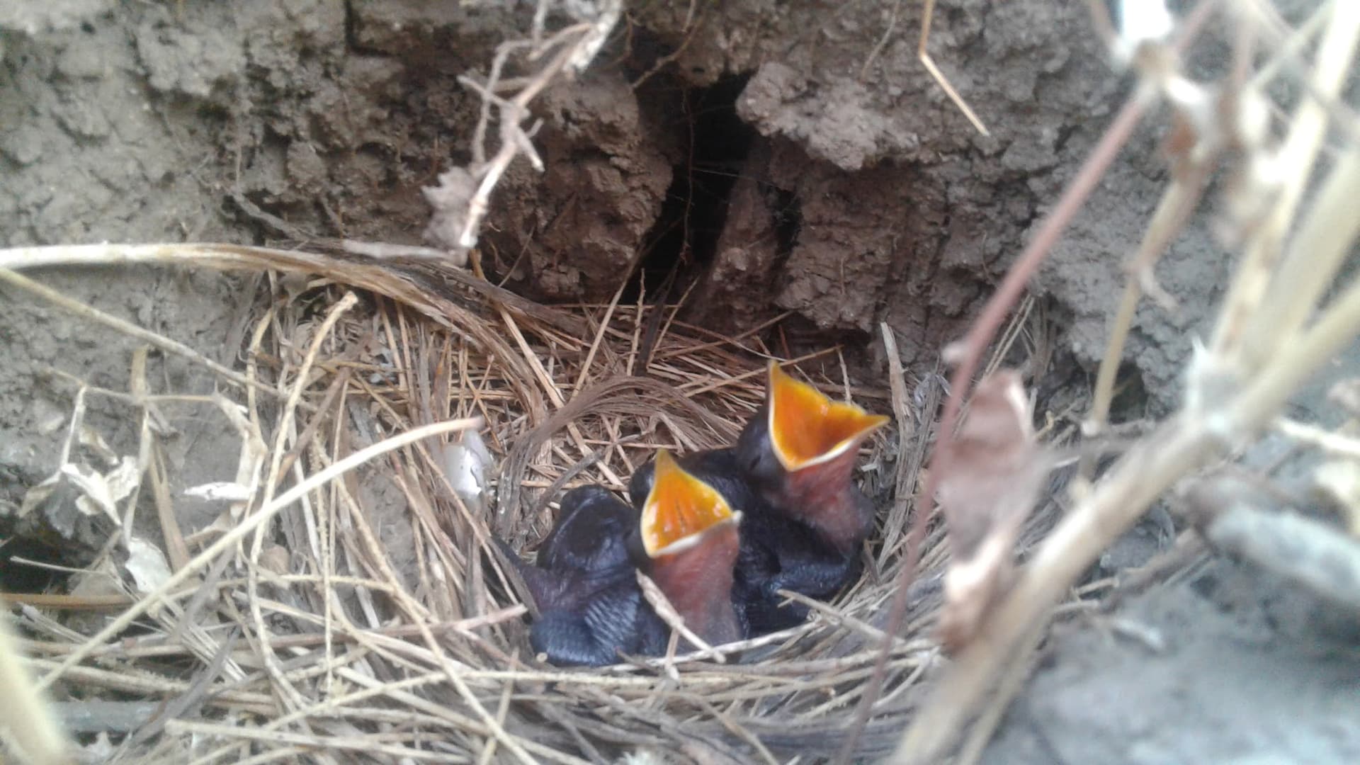Kankara Khadi - Bio Diversity Park