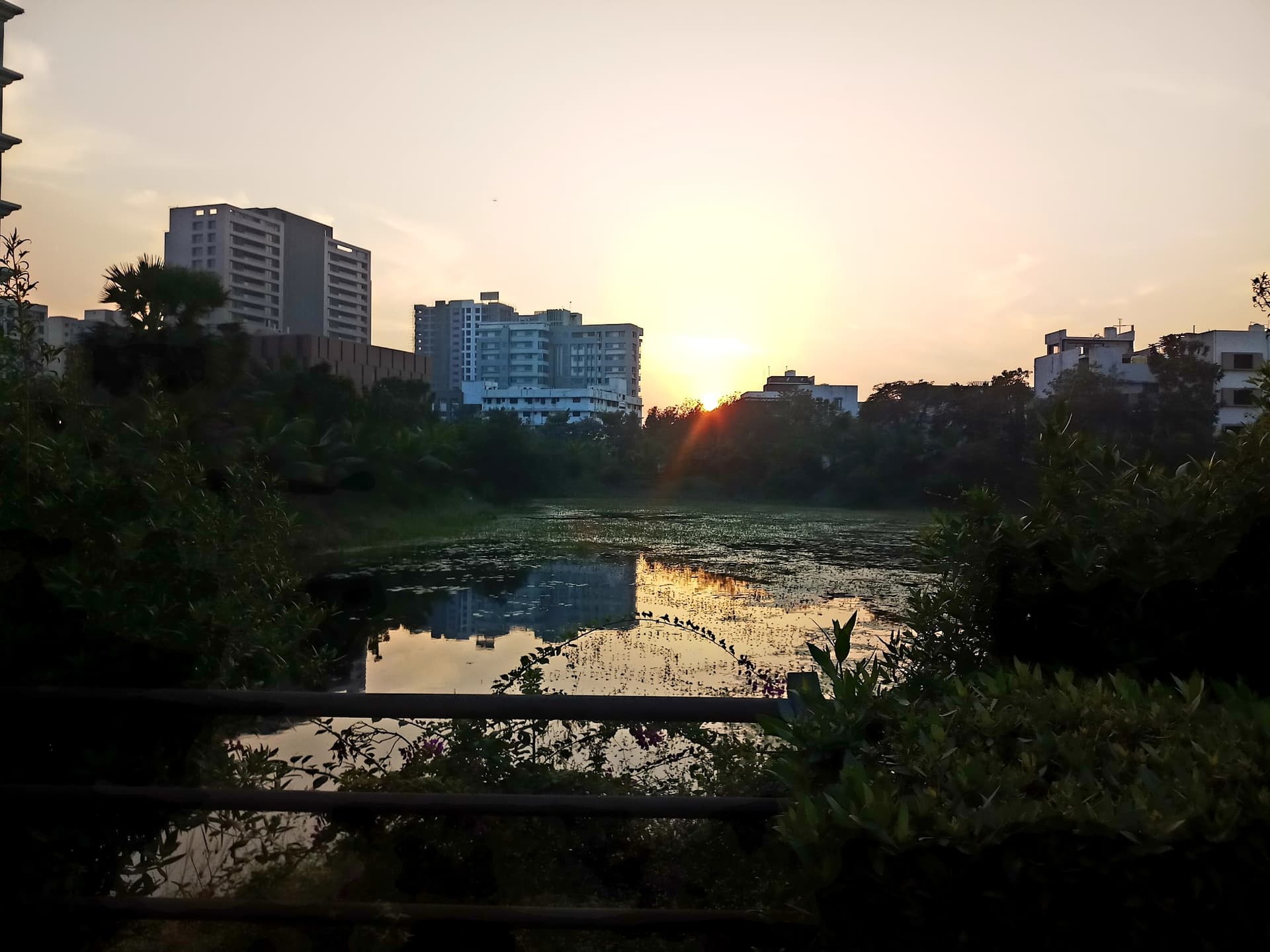 Lake Garden Jogging Track