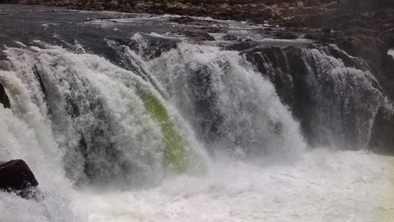 M. M. Digital Studio