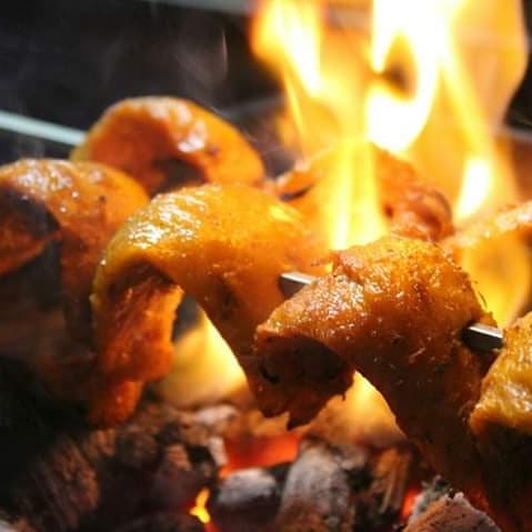 Magic bites soya chaap