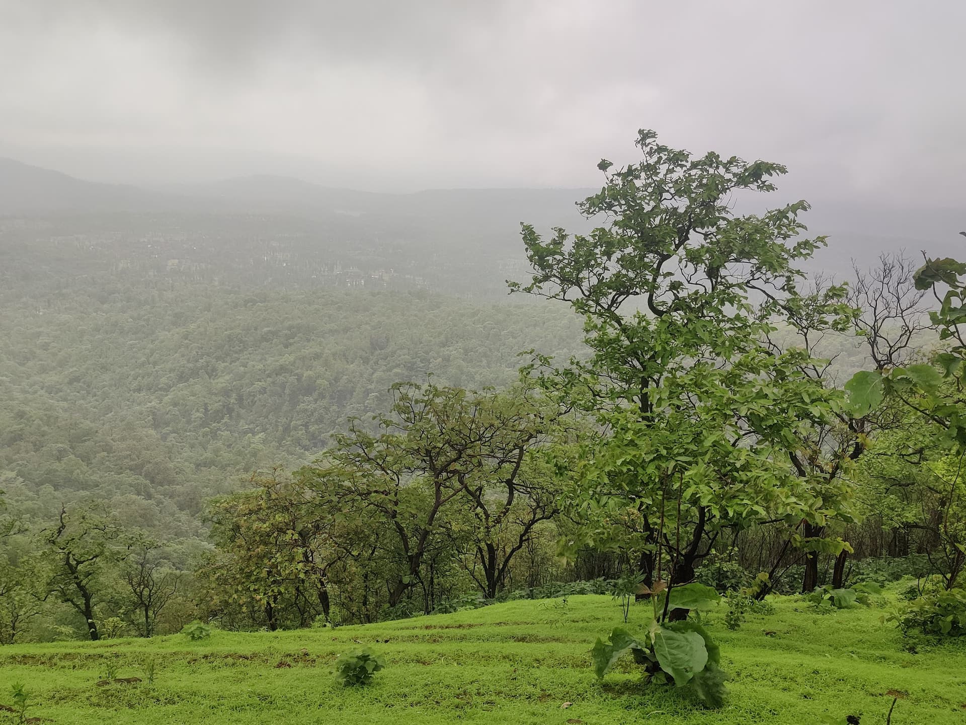 Naturre Cuddle : Adventure And Trekking Company