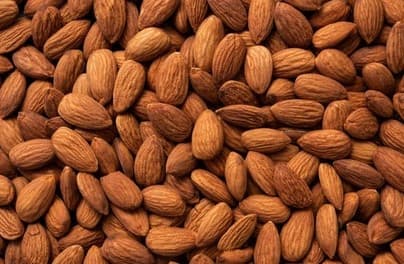 New Satadhar General Store