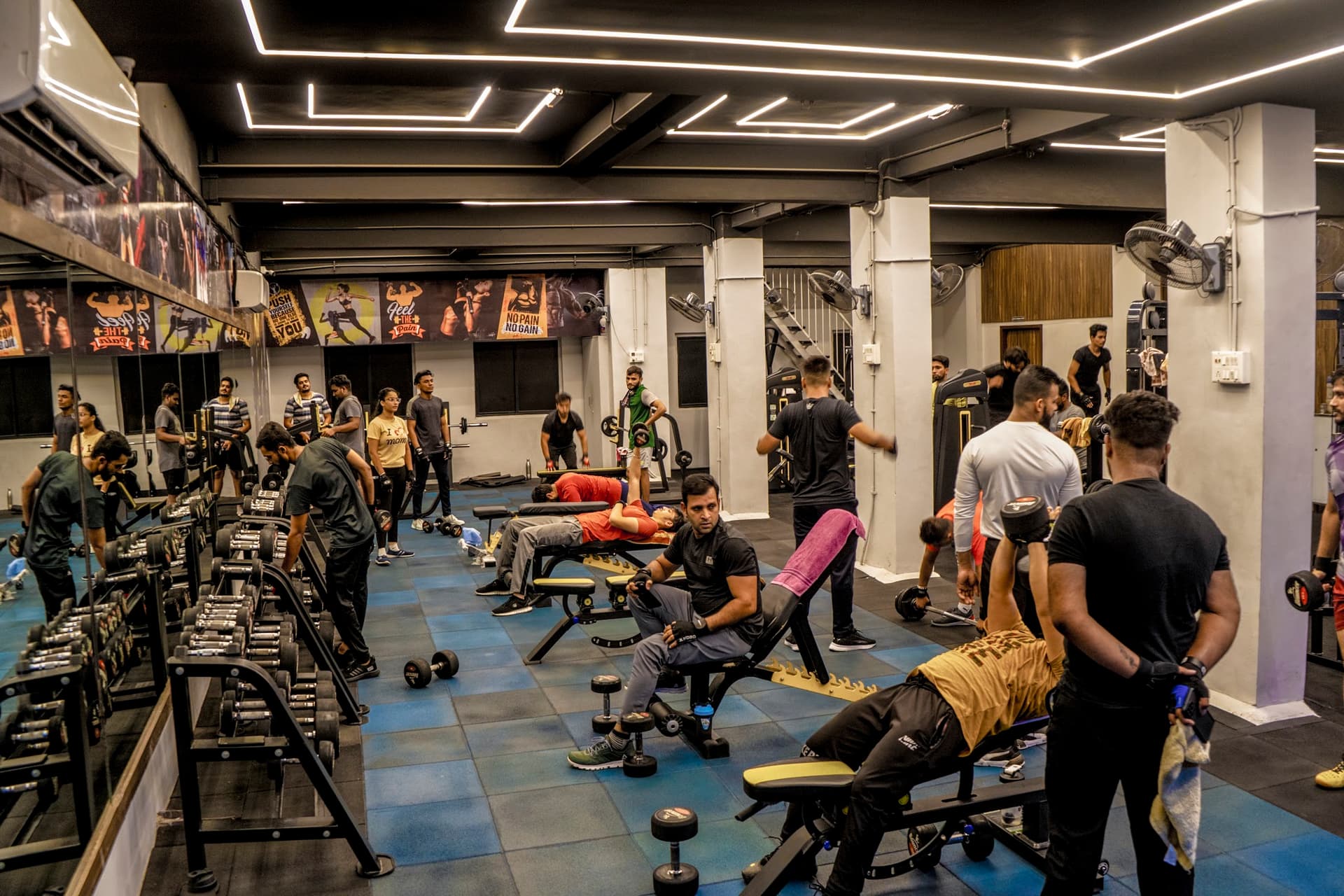 Optimum Fitness House