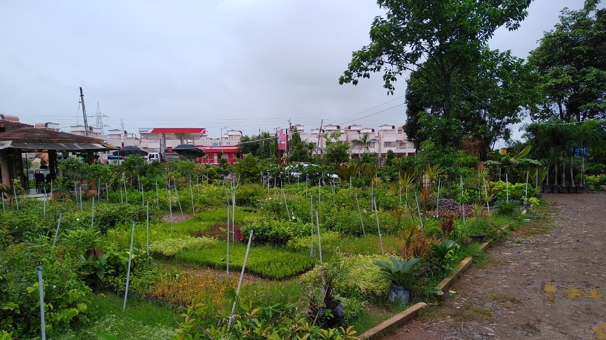 PETALS WORLD FARM & NURSERY
