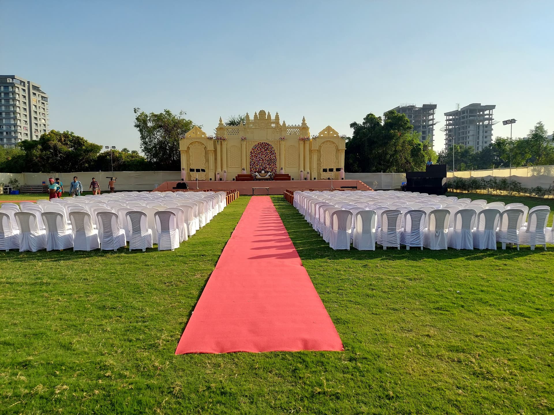 Purple Iris Party Plot
