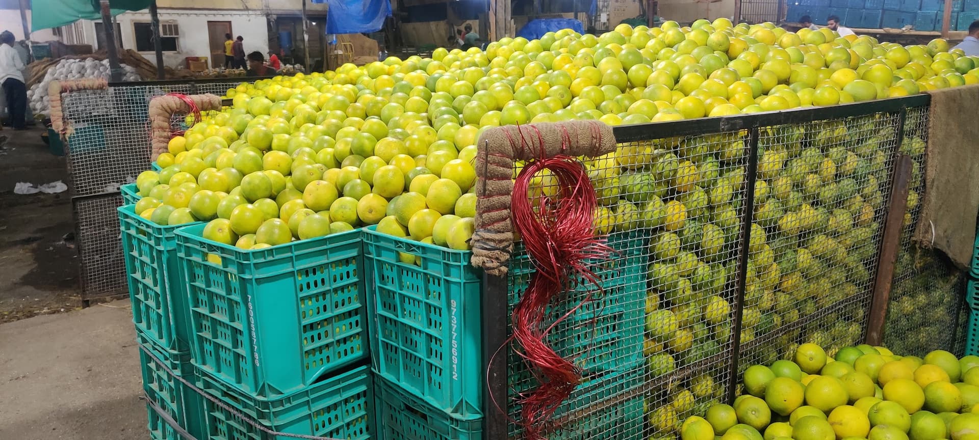 Rabbani Fruit Company