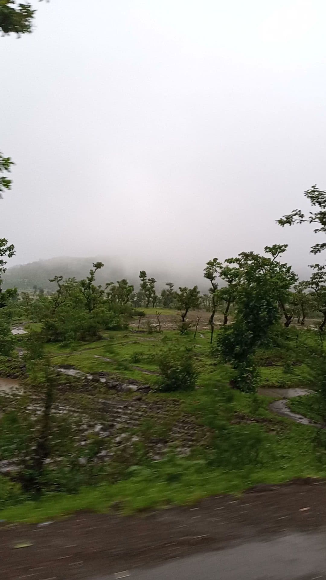 Royal Holidays Tours