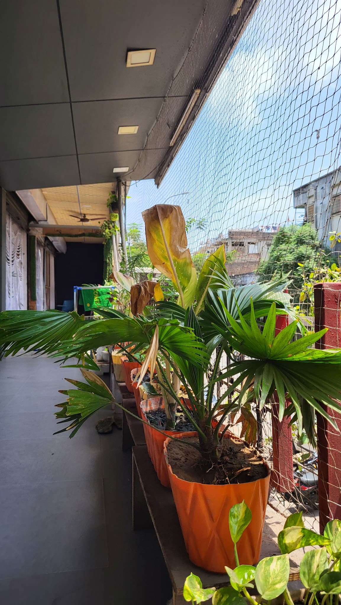 Rupali Beauty Parlour