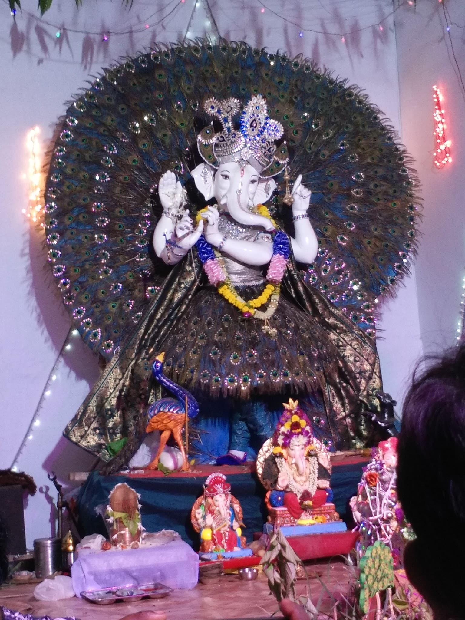 S.M.C Reading Room-Multi Activity