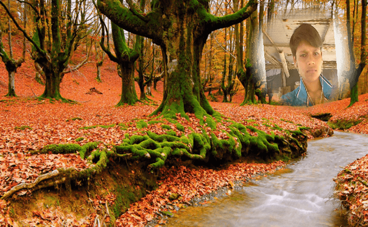 Shital Photo Imaging