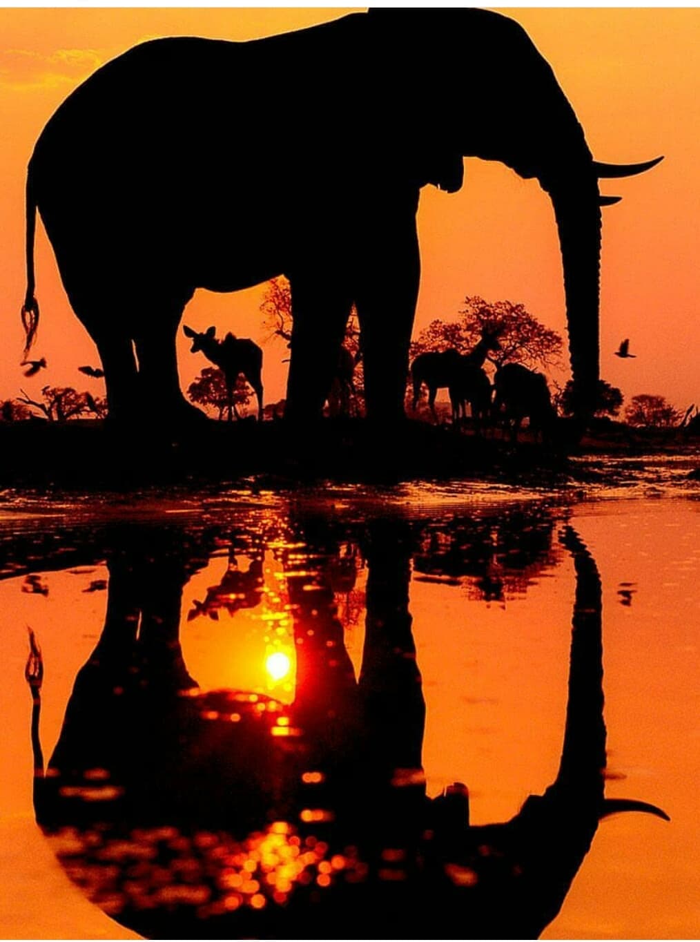 Shree Satyanarayan Temple