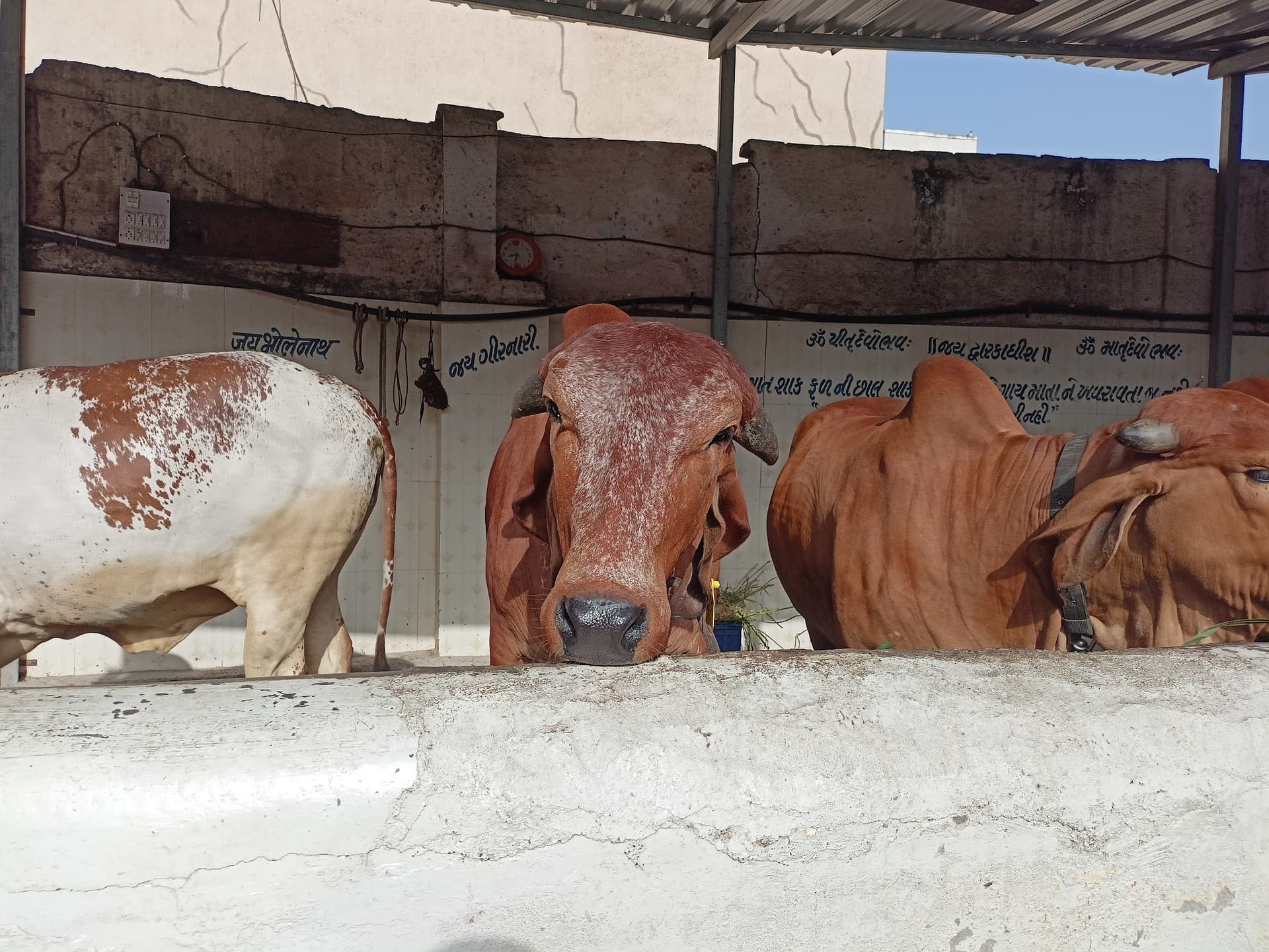 Shree Vaijnath Mahadev