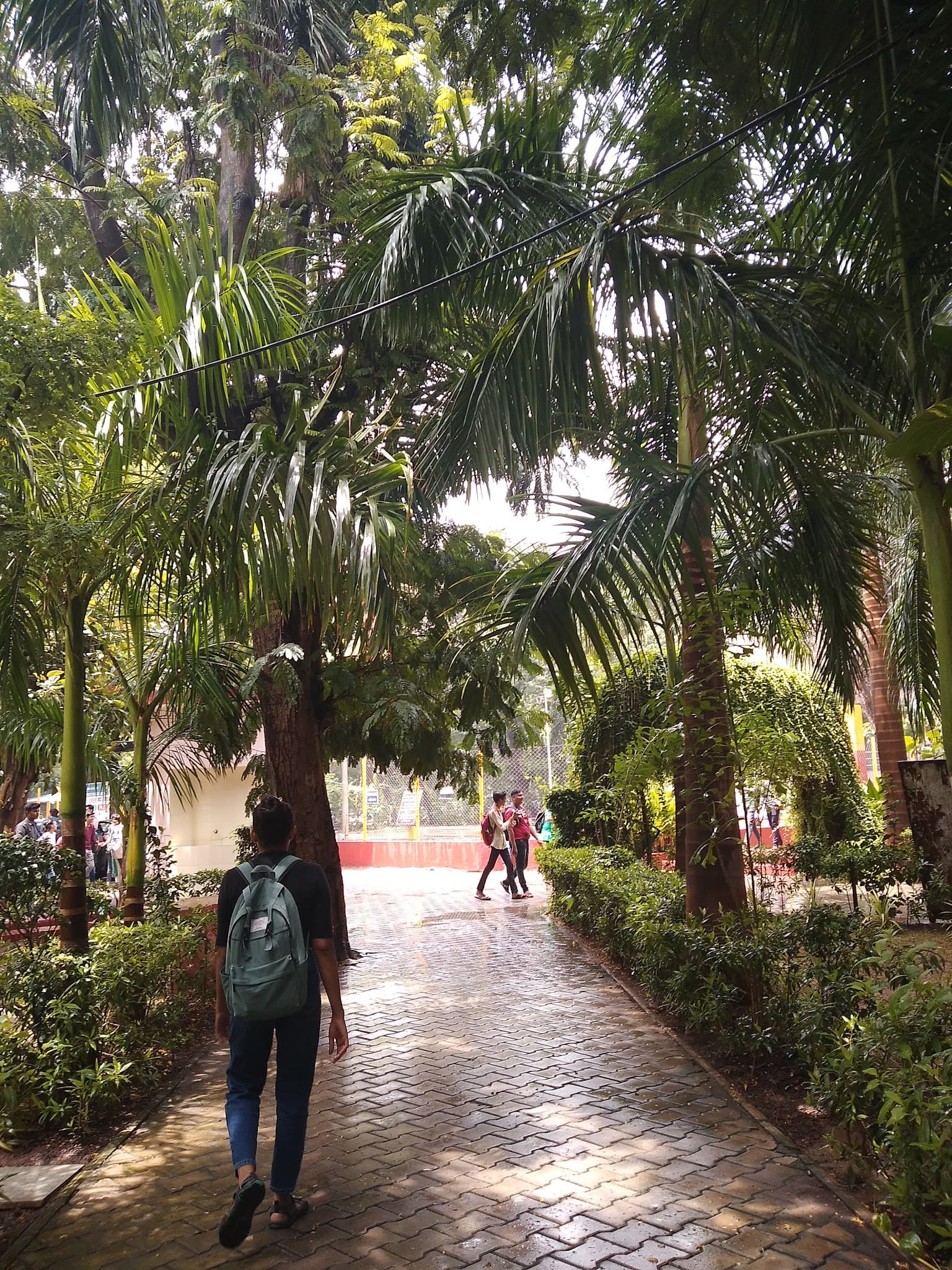 Sir K. P. College of Commerce