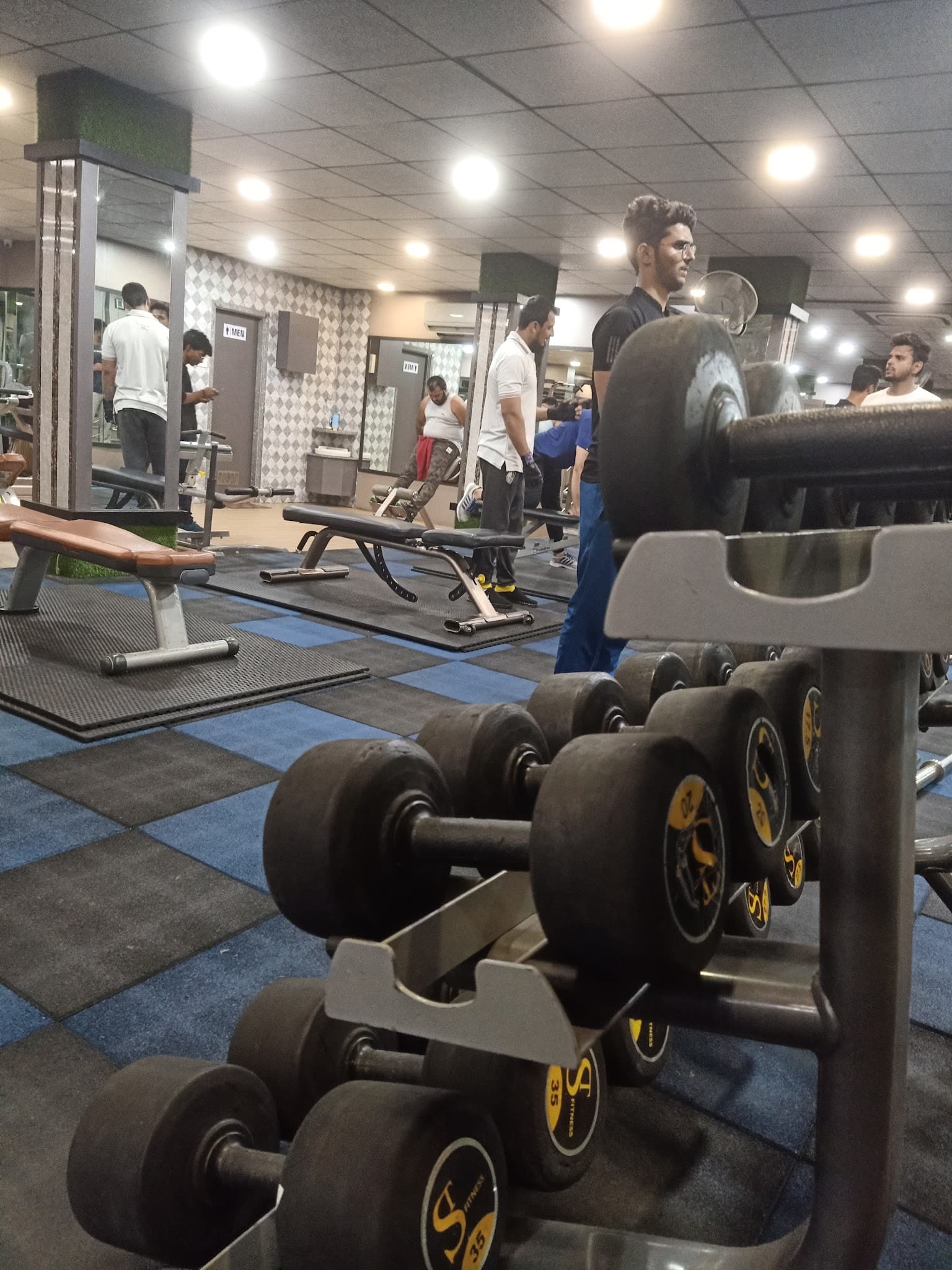 Stallon Gym