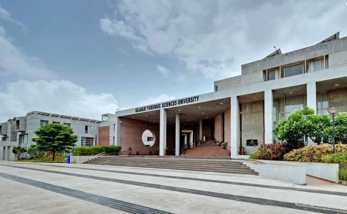surat school of fine arts
